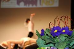 52598052_1295328890620931_6616502762798579712_n