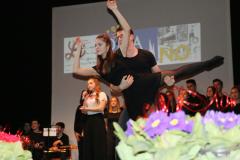 52835827_1295329130620907_7907108124207611904_n